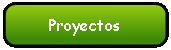 Rect�ngulo redondeado: Proyectos